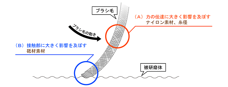 ブラシ毛の各項目における役割